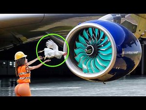 Bird Strike Test: How Aircraft Engines are Tested✈️ [+ Turbojet engine Manufacturing process]