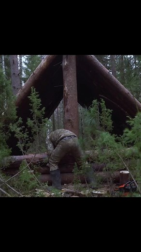 Every step brings a new discovery #primitivelife #outdooradventure #survivalskills #woodsmanlife #bushcraftcommunity #bushcraftgear #solohike #soloadventure #bushcraftfire #campfirevibes #wildcamping #bushcrafttools #solobackpacker #offgridlife #forestvibes #naturelover | Survival Expeditions