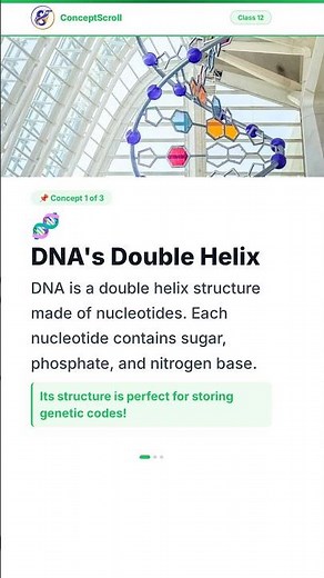 Molecular Basis of Inheritance, Class 12 Biology | Chapter 6 | Class 12 Biology | NCERT | ConceptScr