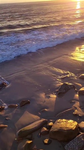 tiarakristine (@tiarakristine)’s videos with Sun - Derik Fein