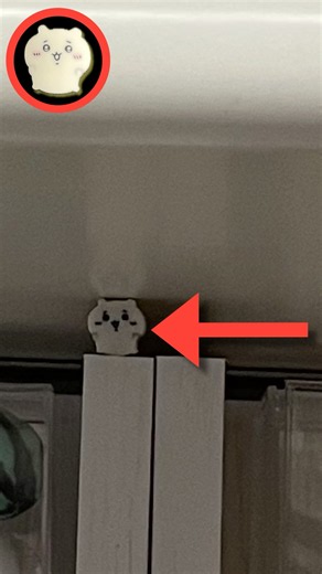 【クイズ1問:ちいかわはどこ？】ちいかわくら寿司コラボ終わっちゃった、、【次回動画で答え発表してます】#ちいかわ #chiikawa #먼작귀 #치이카와 #吉伊卡哇