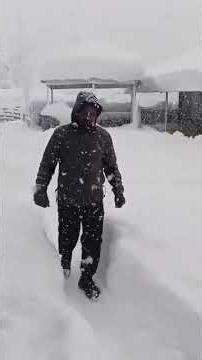 Indian arrmy 💗 #viral #songviral