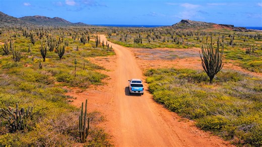 A road showing another side of the Netherlands