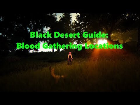 Black Desert Guide: Blood Gathering Locations [Alchemy/Cooking]