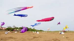 Spectacular View Various Shapes Sizes Kites Flying Blue Sky Kite