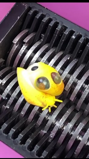 Shredder_mini a TikTokon