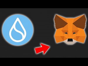 How to Add SUI to MetaMask Wallet
