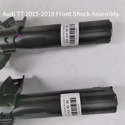 Audi A3 S3 RS3 TT Magnetic Front Shock Strut Assembly