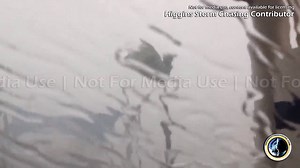 HSC Contributor Alysha captured this video of severe storms impacting Grafton, NSW at 5.00pm today Thank you for capturing your videos in landscape format and assisting us help protect your work. Content available for licensing via Severe Weather Australia If you have captured significant storm video, please protect your work and share it with us via private message. | Higgins Storm Chasing