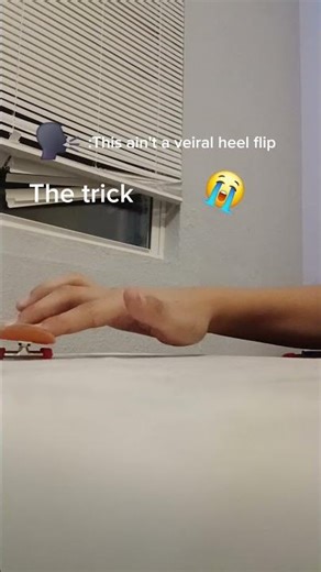 #fingerboard # heelflip