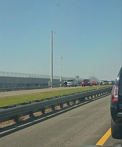 473K views · 4.3K reactions | There’s a cow running down 528 blocking traffic. | The Space Coast Rocket | Facebook