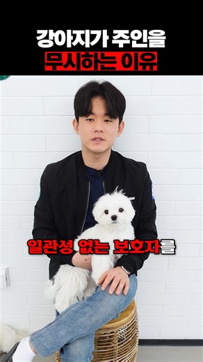 “강아지가 주인을 무시하는 진짜 이유”