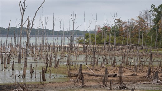 Will weekend's predicted storm quench drought-stricken New Jersey? Climate experts hope so