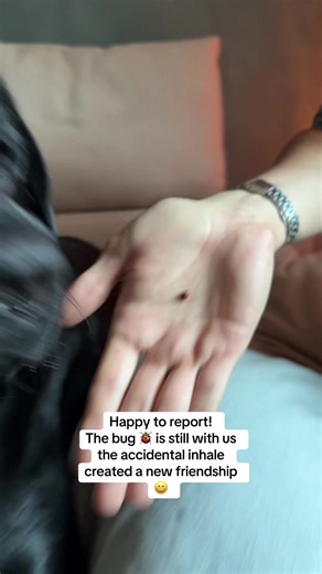 Name Suggestions for a Friendly Ladybug