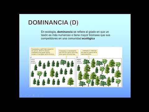 Indices de Biodiversidad Ecológica
