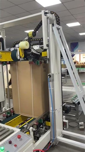 Large Toy Packaging Machine