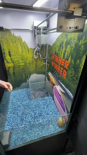 WinnerWinner on TikTok