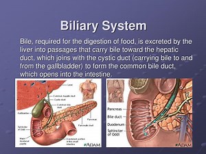 Biliary System - SlideServe