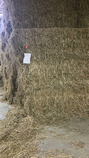 Sales Video Hay in Barn 5-14-26