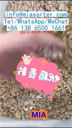 Hochpräzise Farbsortiermaschine Produktionslösung Kunststoff Glas Deutschland Frankreich Brasilien