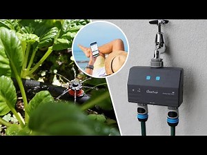 LinkTap D1 Wireless Water Timer（English）