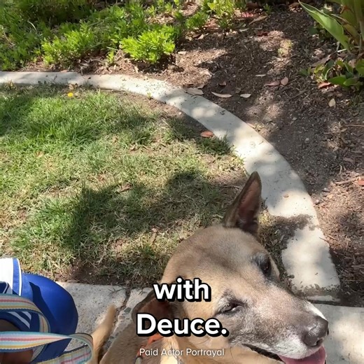 Fresh, Fun and Now Free! | ABCmouse.com Early Learning Academy