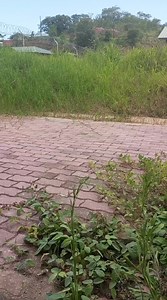 42 reactions · 5 comments | The Admin At Work 臘 Disclaimer The Song Playing In Background I Own No Right. | Saviour Tech & Styles | Facebook