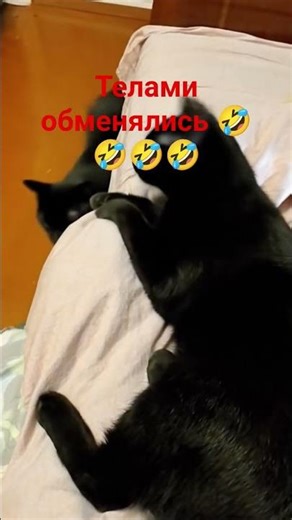 12 апреля 2026 г.