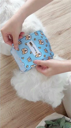 Dog Diapers | Washable Belly Bands Made for Comfy Everyday Wear