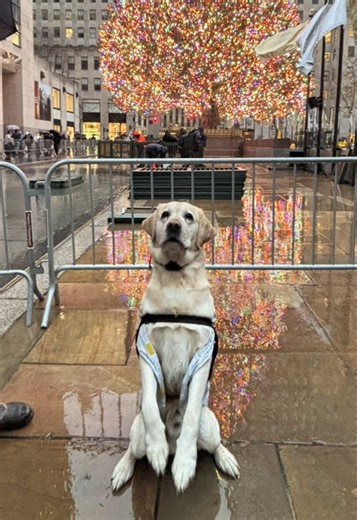 A longer version of our day in the city. It was amazing and even more amazing I got to do it with my betrothed and my left hand man #ohmary #nyc #newyorkcity