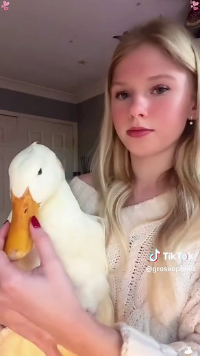 Heartwarming Duck Rescue: Standing Up to Bullying