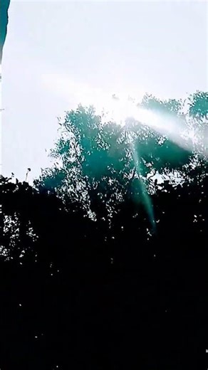 morning time view # viral # trending morning view # view sunset # 😻