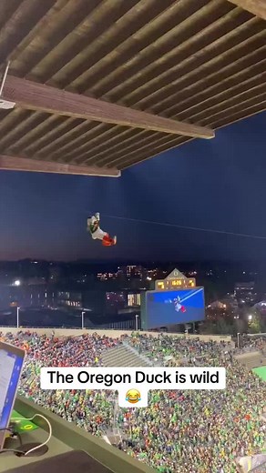 Funny Oregon Duck College Football Mascot Video