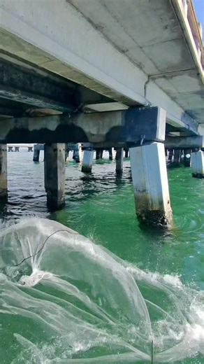 This is how to throw a cast net at Skyway fishing pier! We used the triple load cast net method and loaded up on bait! #fishinglife #netfishing #deepseafishing #CastNetFishing #skywayfishingpier | Groupermvp