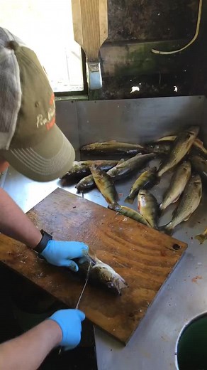 Allie Testa1st (@allietesta1st)’s videos with Original sound - Babe💐🥂❤️