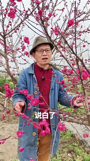 Uncover the Secret Inside a Peach! Fate or Fungus