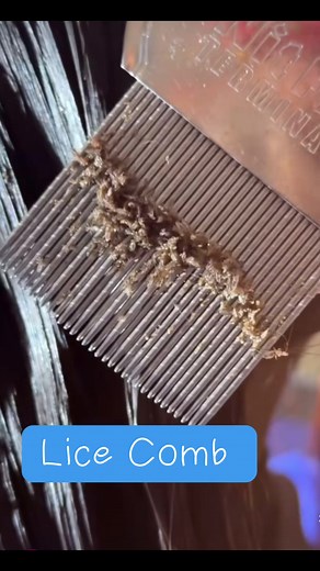 Effective Lice Comb Cleansing Techniques