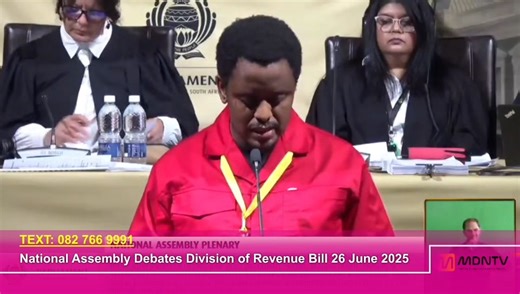 4.1K views · 53 reactions | EFF National Spokesperson and MP Sinawo...