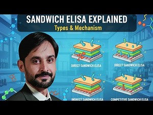 Sandwich ELISA | Types | Direct and Indirect Sandwich ELISA