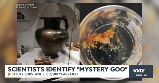 Scientists identify mystery goo