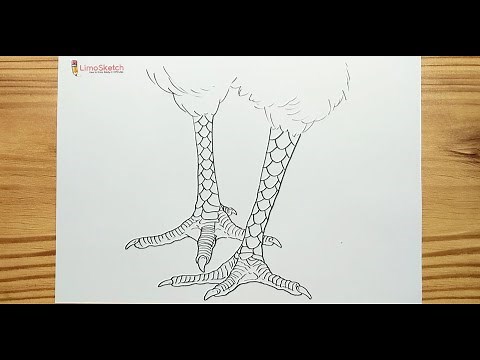 HOW TO DRAWING CHICKEN FEET