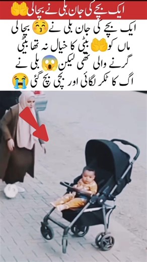 Hero Cat Saves Little Girl Just in Time! 🐱❤️A Miracle Moment Caught on Camera 😲✨،#viralvideo #allah