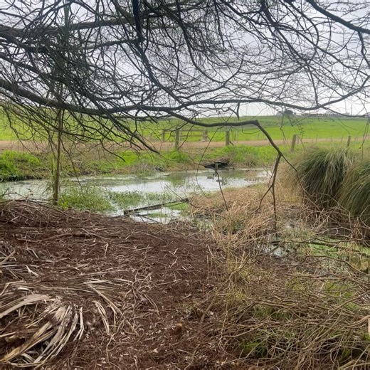 Keri Robinson on Reels