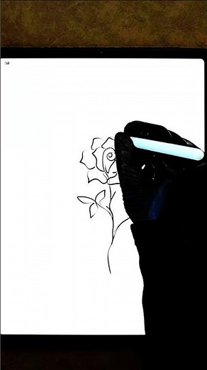 continuous line drawing rose flower #onelinedrawing