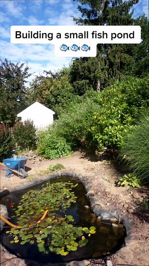 Building a small fish pond 🐟🐟 #fishpond #koipond #pond #fyp #diy #waterfeature #backyardpond #aquascape #timelapse #minions #backyard #landscape