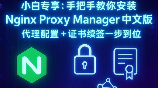 [小白专享]：手把手教你安装Nginx Proxy Manager中文版，代理配置 证书续签一步到位