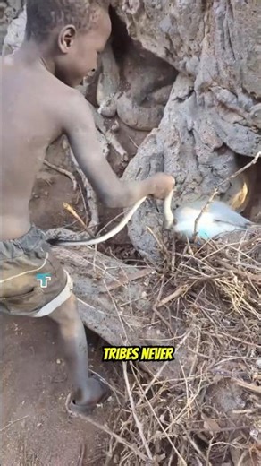 African Tribe Measures Wealth In Girls And Cows #shorts #AfricanTribes #DinkaTribe #TribalWealth