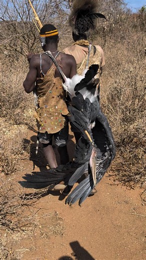 😳🔥 WHAT A CATCH! A huge Marabou stork brings a whole new feast to Hadzabe land! 🌿🤤 #reels