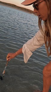 Fran Vs Mantis Shrimp | Strick & Fran