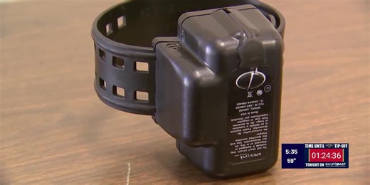 Company: Court’s new system led to accused abuser’s early release